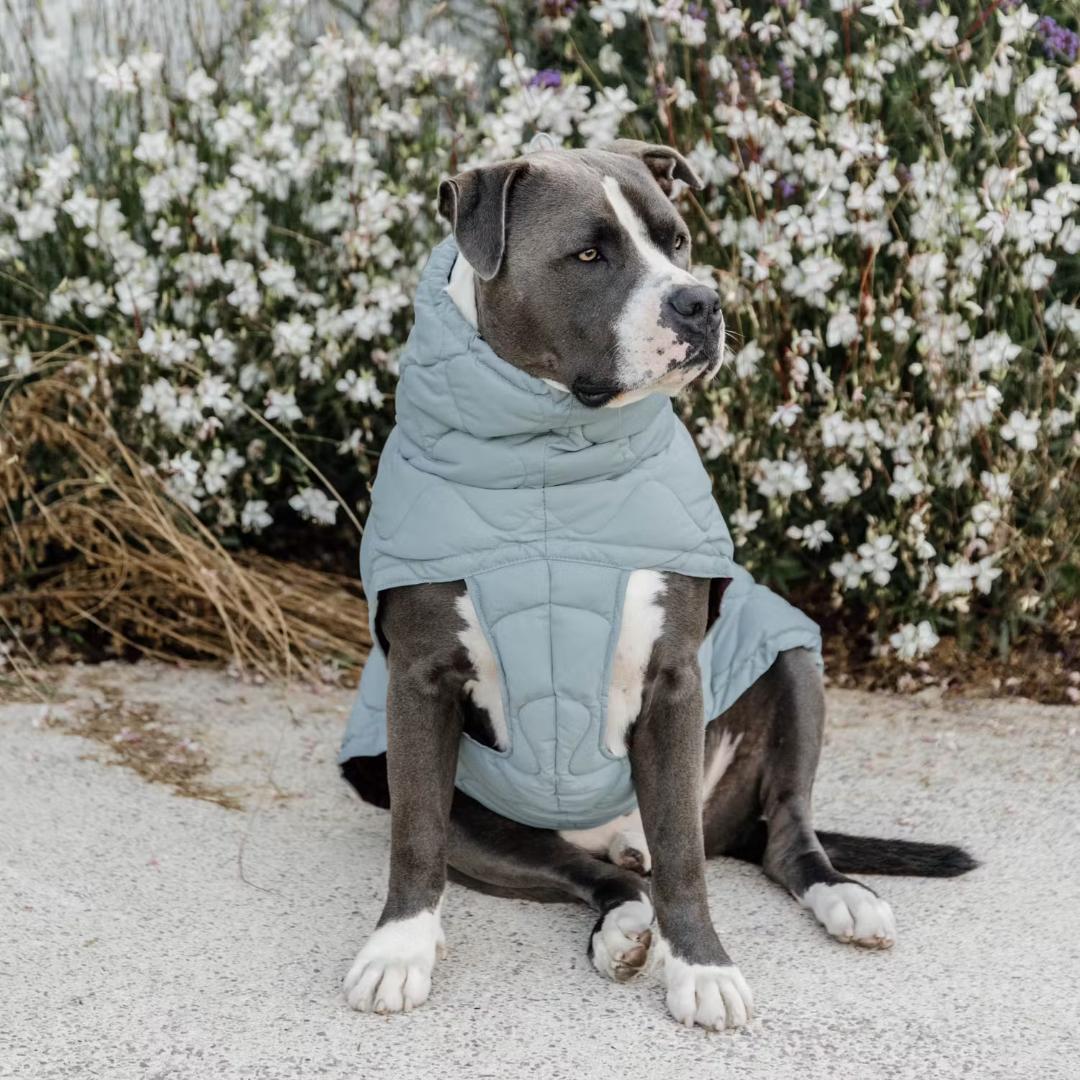Kentucky Dogwear 未使用 コート ダウン 中綿入り