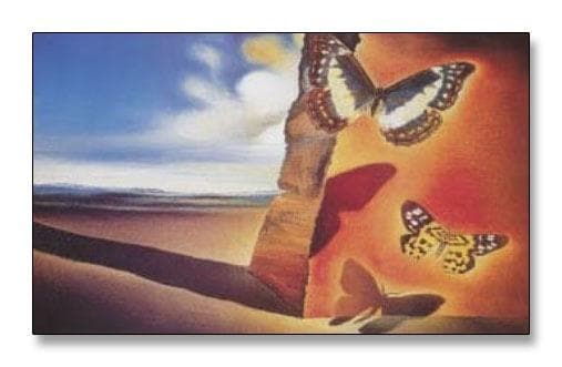 額装品/Paysage aux/サルバドール ダリ/アート/ポスター/インテリア