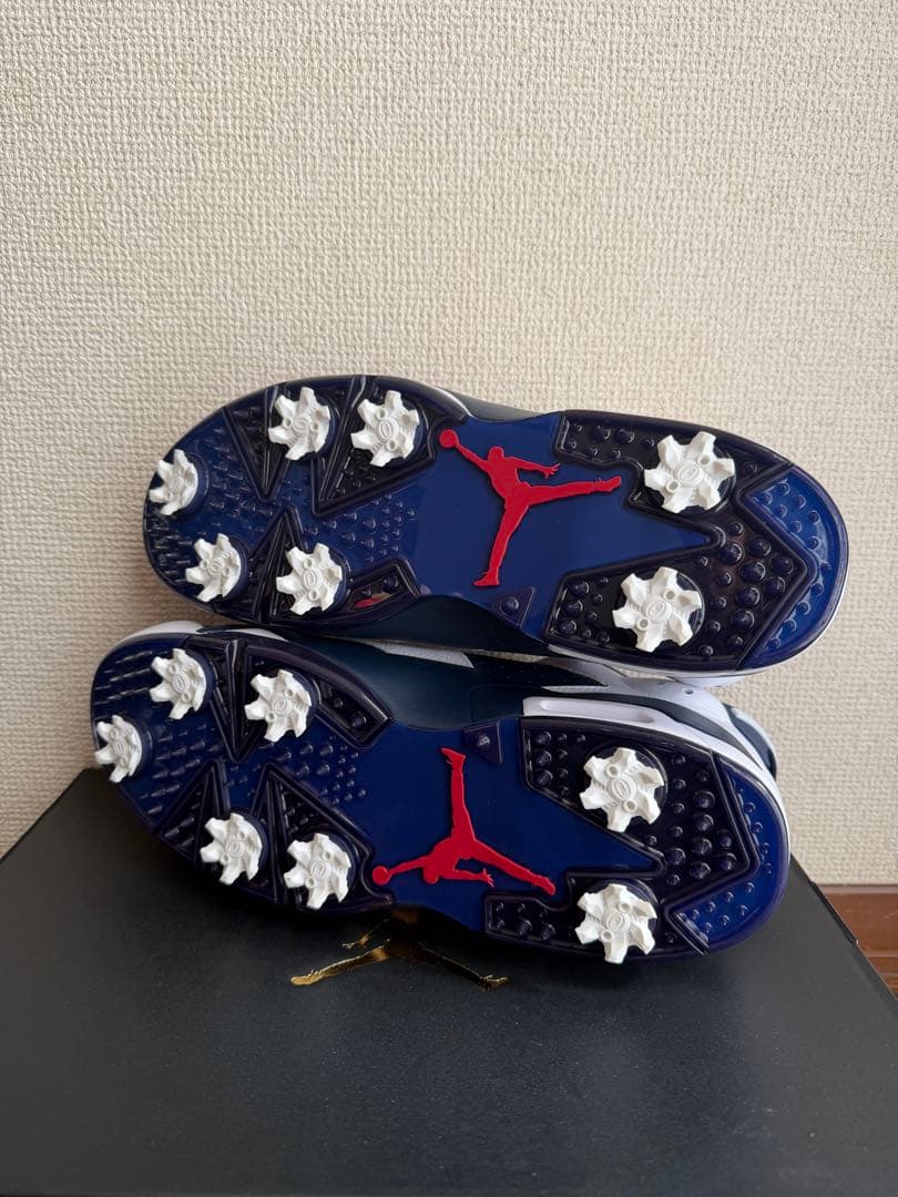 【新品：28.0cm】ジョーダン　レトロ6 G ゴルフ用
