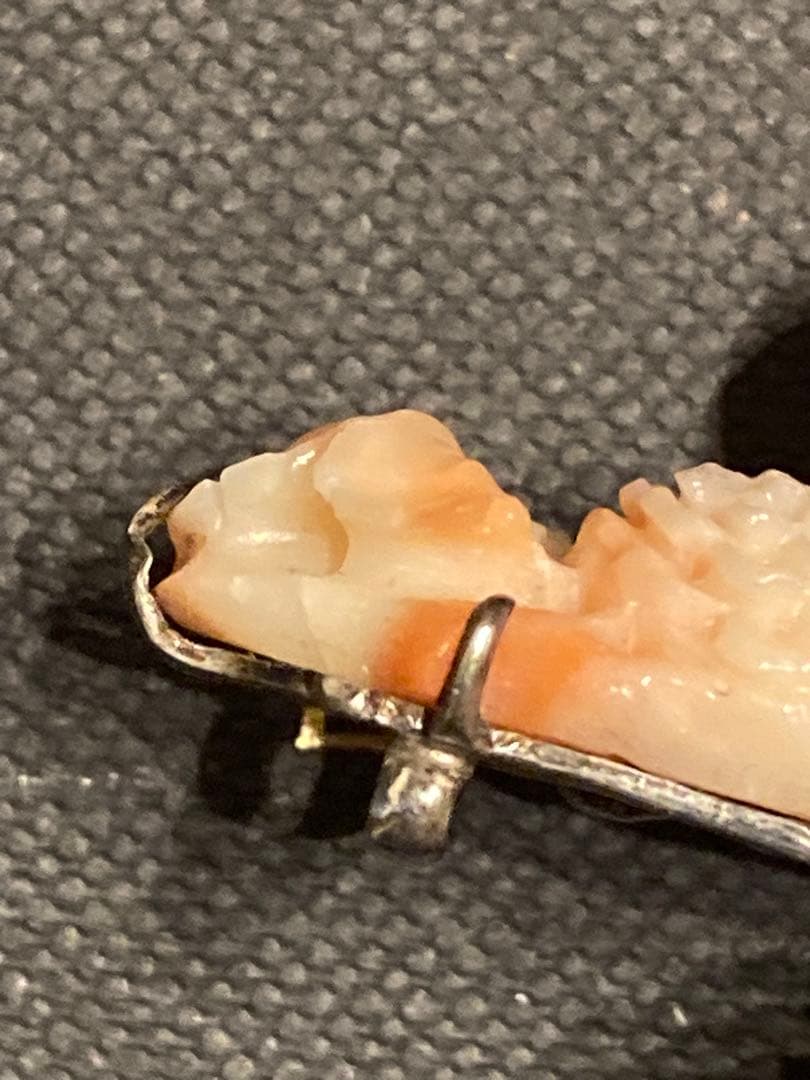 【激レア】本珊瑚　帯留　希少