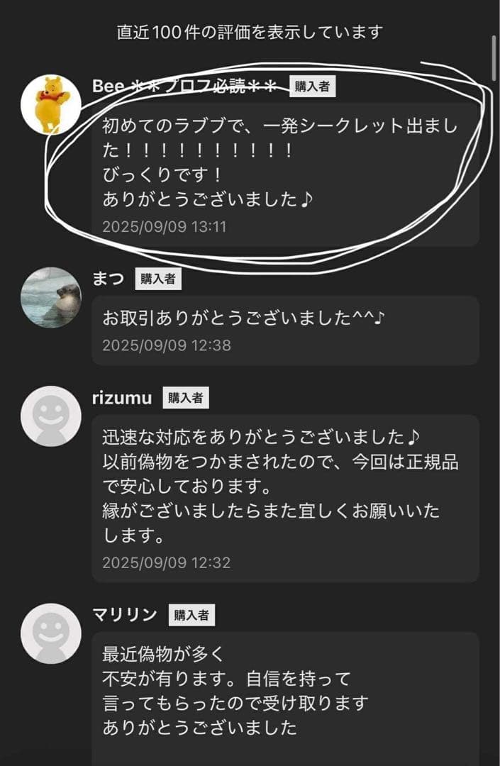 【正規品・未開封】Labubu Big into Energy 5箱