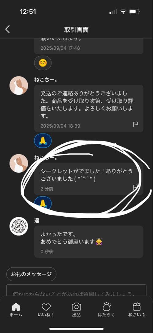 【正規品・未開封】Labubu Big into Energy 5箱