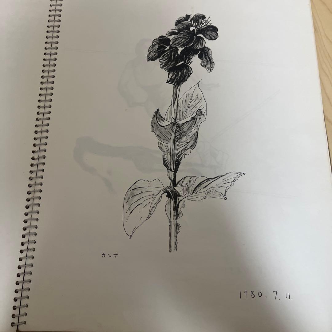 1980年代 絵画コレクション