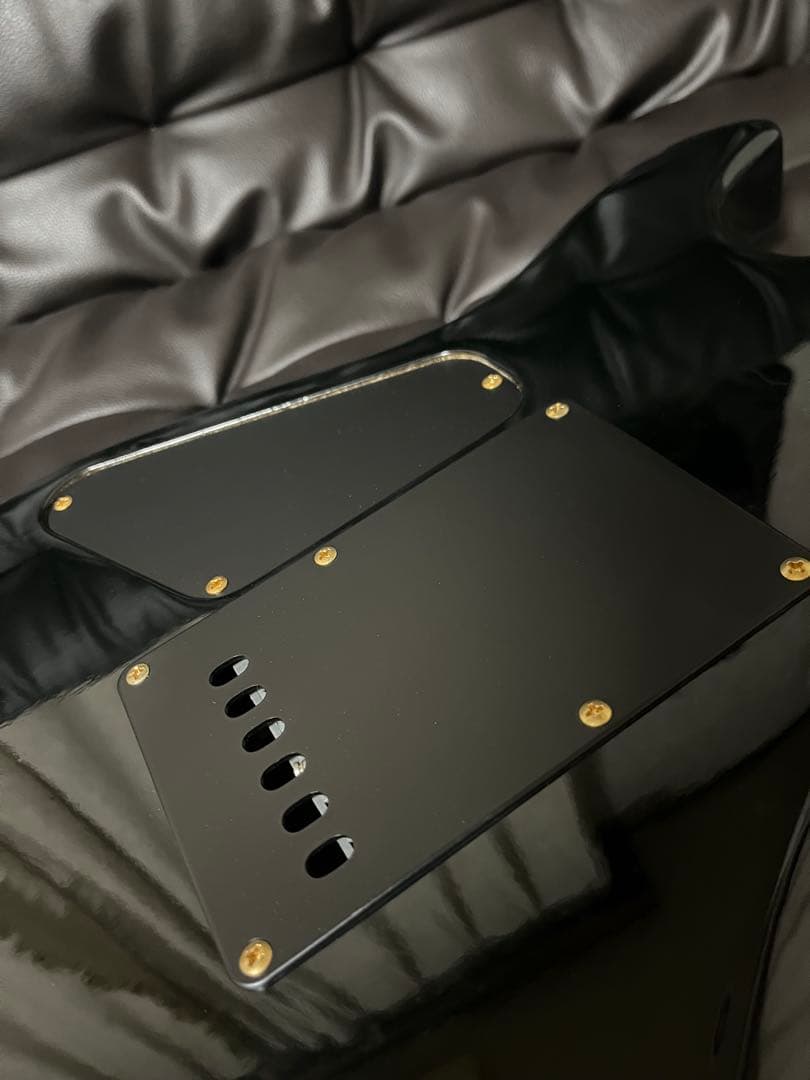 FERNANDES the function フェルナンデスギター　エレキギター