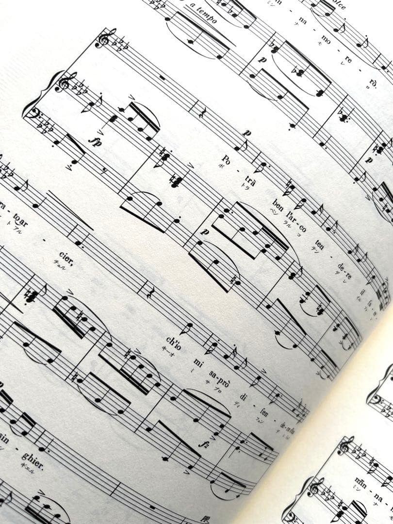 新編　世界大音楽全集　声楽　オペラ