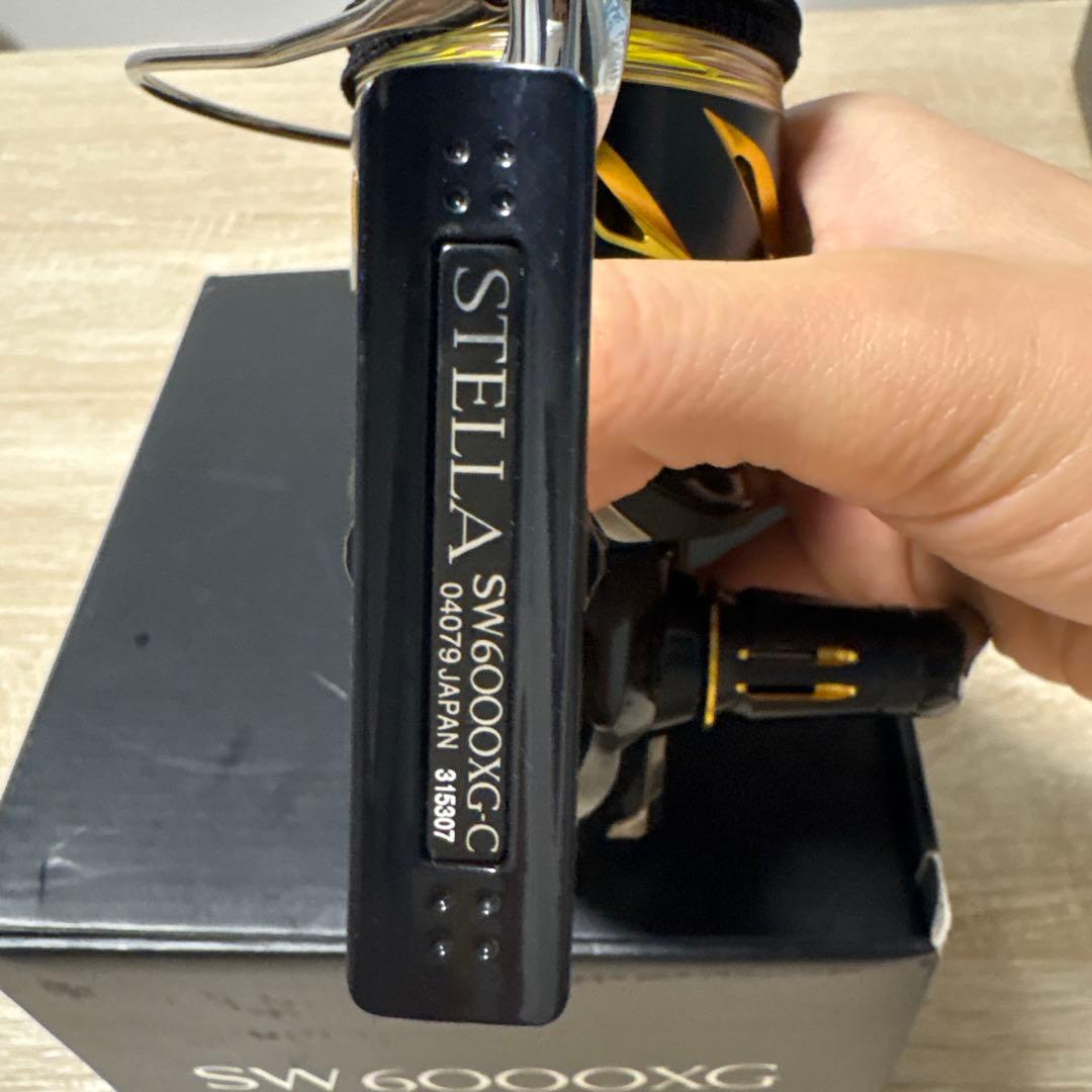 20ステラSW6000XG