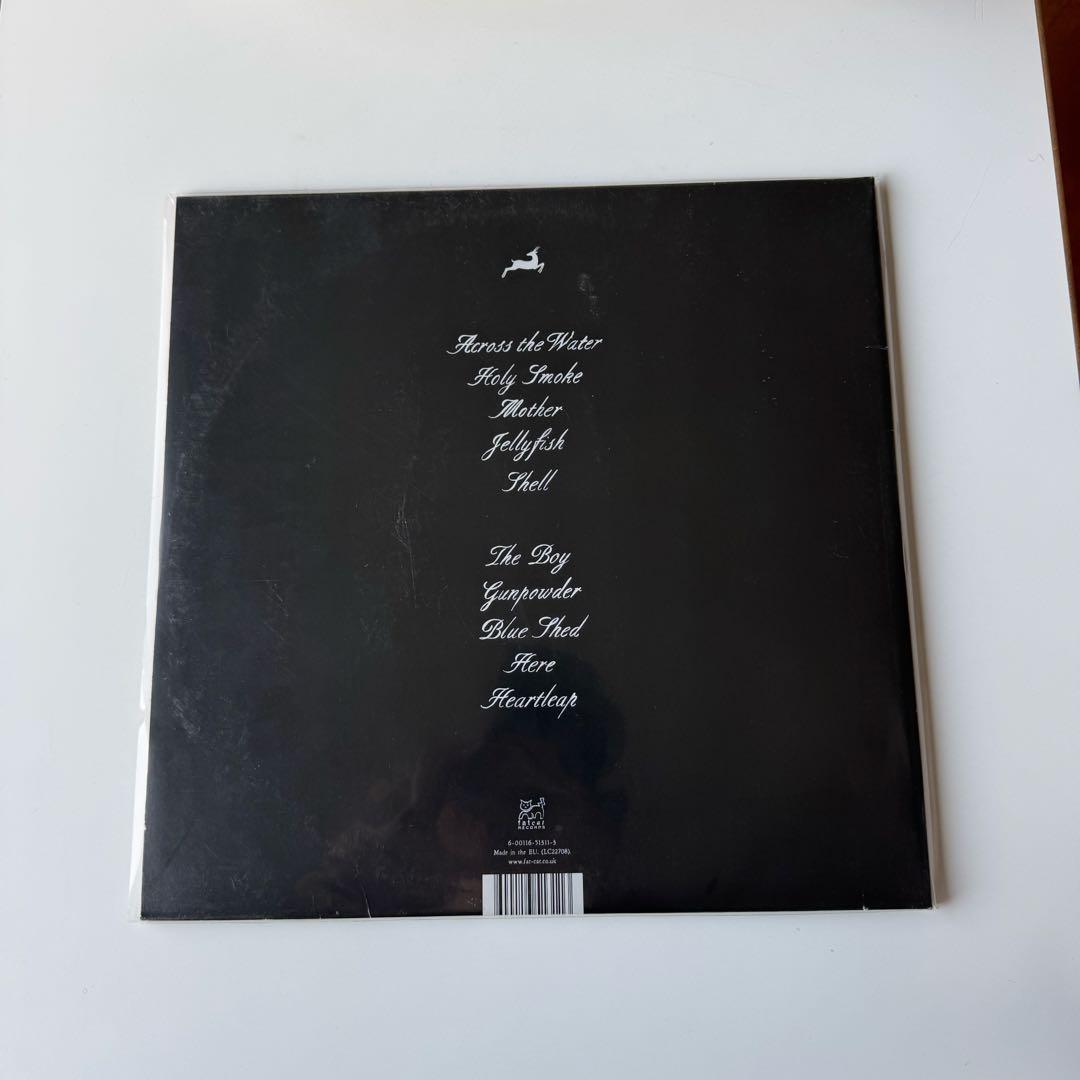 [希少サイン入り] VASHTI BUNYAN heartleap