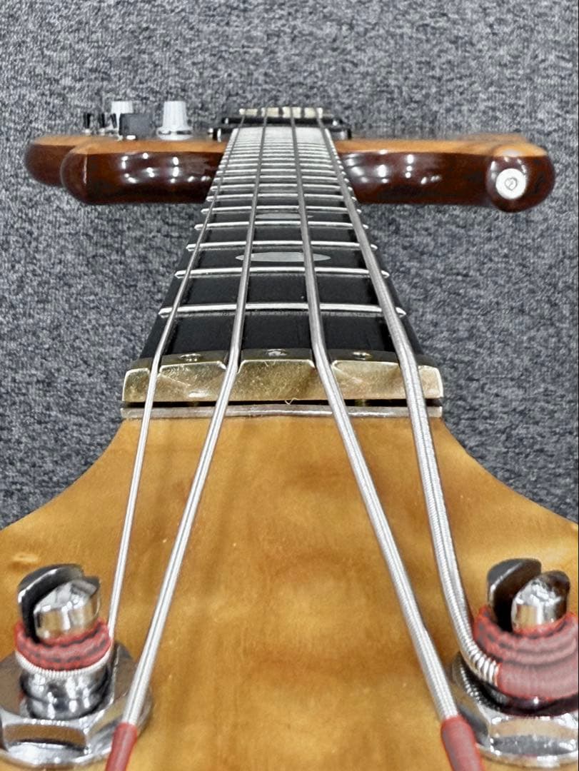 【希少】ALEMBIC DISTILLATE 2PU BASS 1983