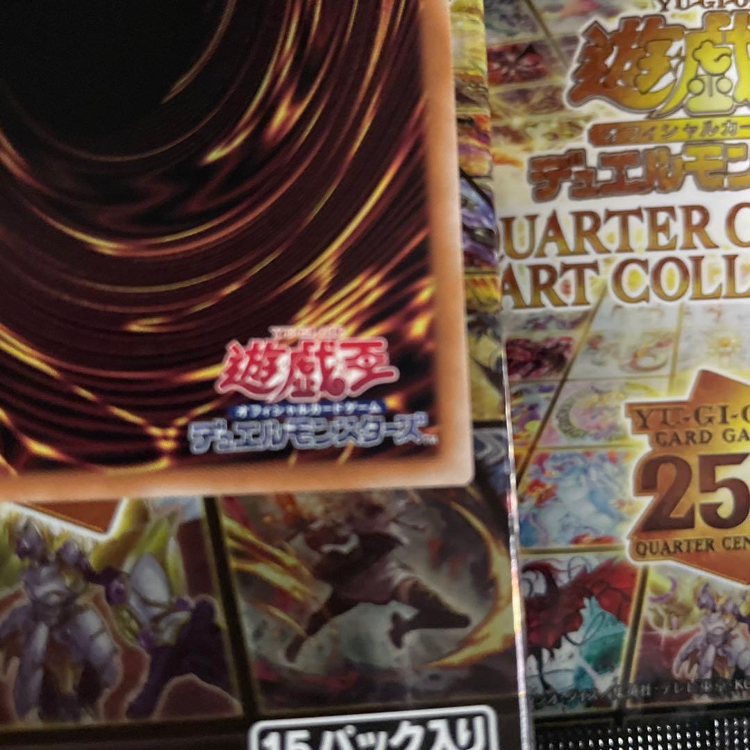 遊戯王　【新規イラスト】　迷宮城の白銀姫　25thシク