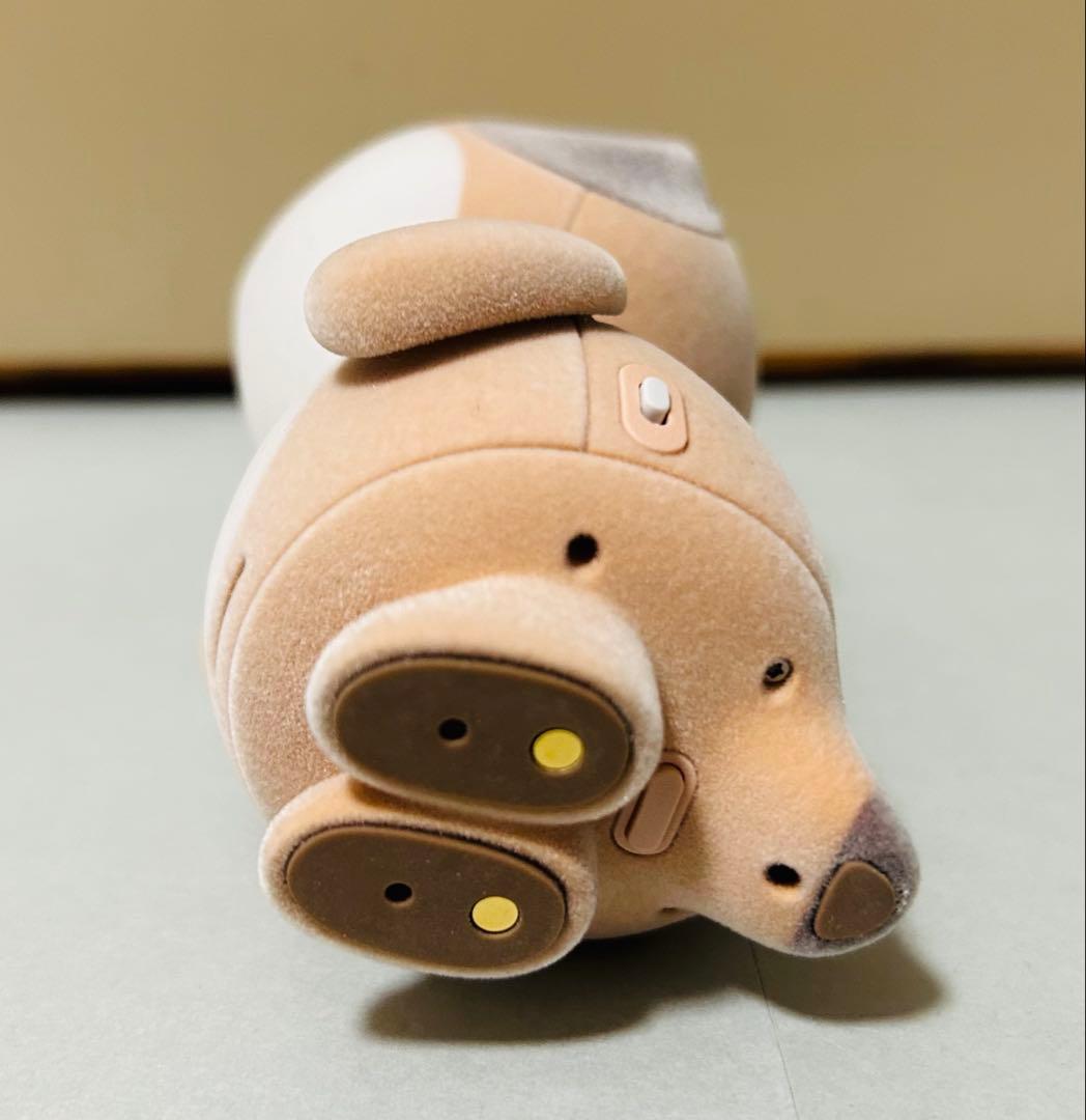 【美品】コンパニオンロボット ポケとも シャープ