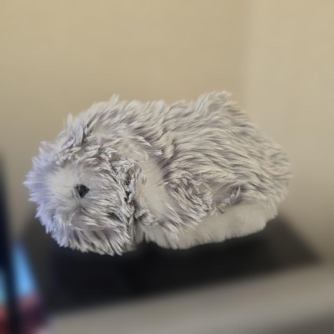 CASIO moflin モフリン