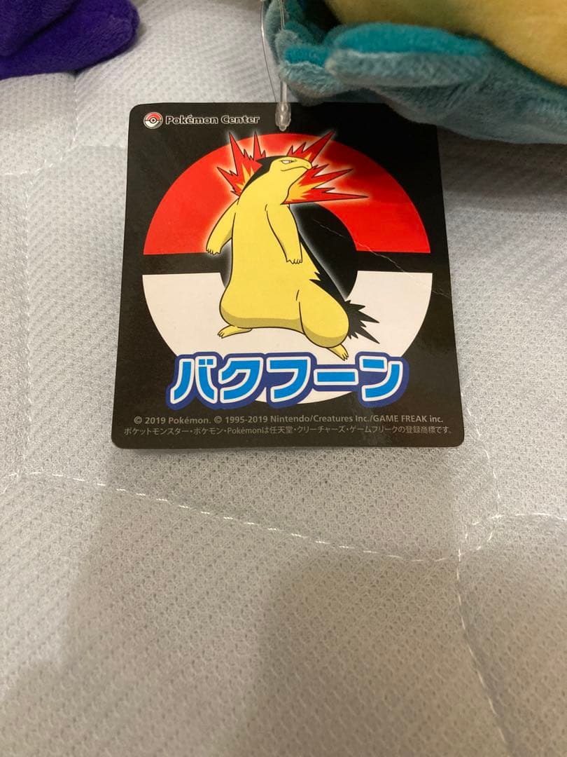 ポケモンセンターオリジナル　バクフーン　ヒスイバクフーン　ぬいぐるみセット