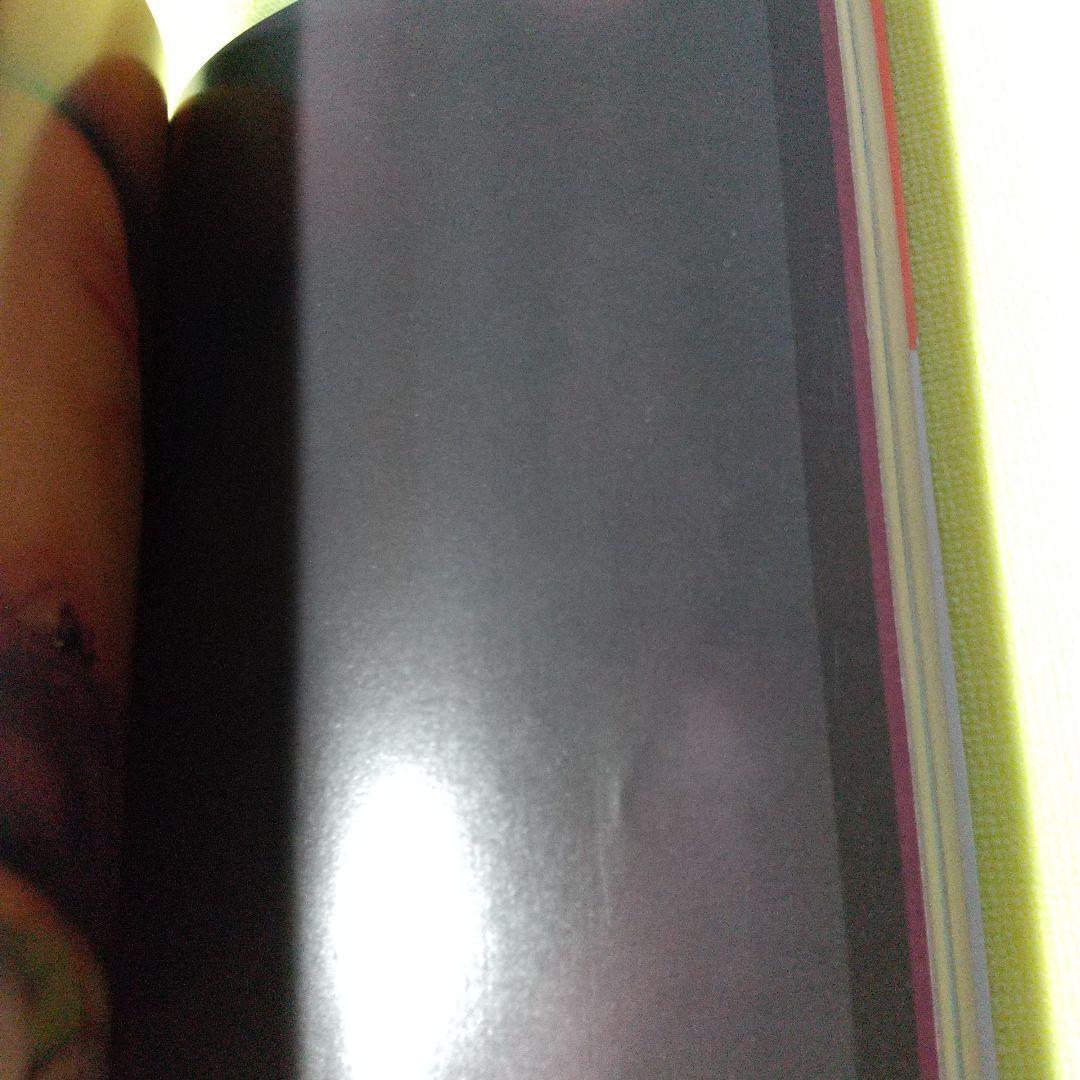 DVD【本田美奈子. 】書籍【果汁120パーセント】【DUNK】