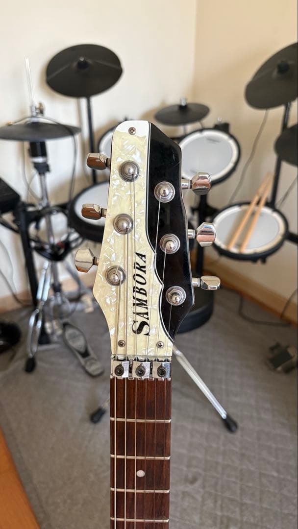 【極希少】ESP LTD SA-2 Richie Sambora
