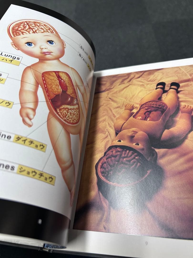 Trevor Brown「EVIL」1996 NGP 限定画集 サイン入り
