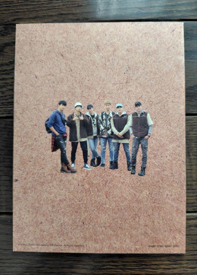 2PM WILD BEAT～完全初回限定生産