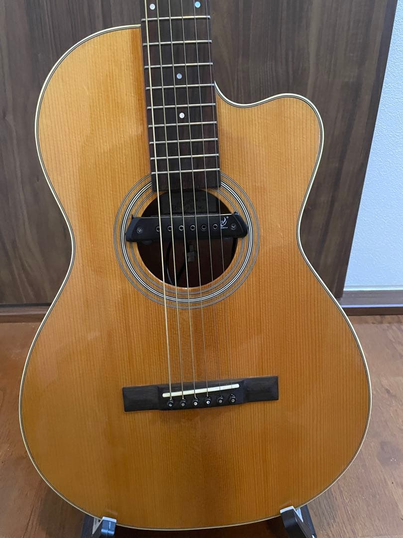 ギター Recording King RP1-16c / Adeline pickup