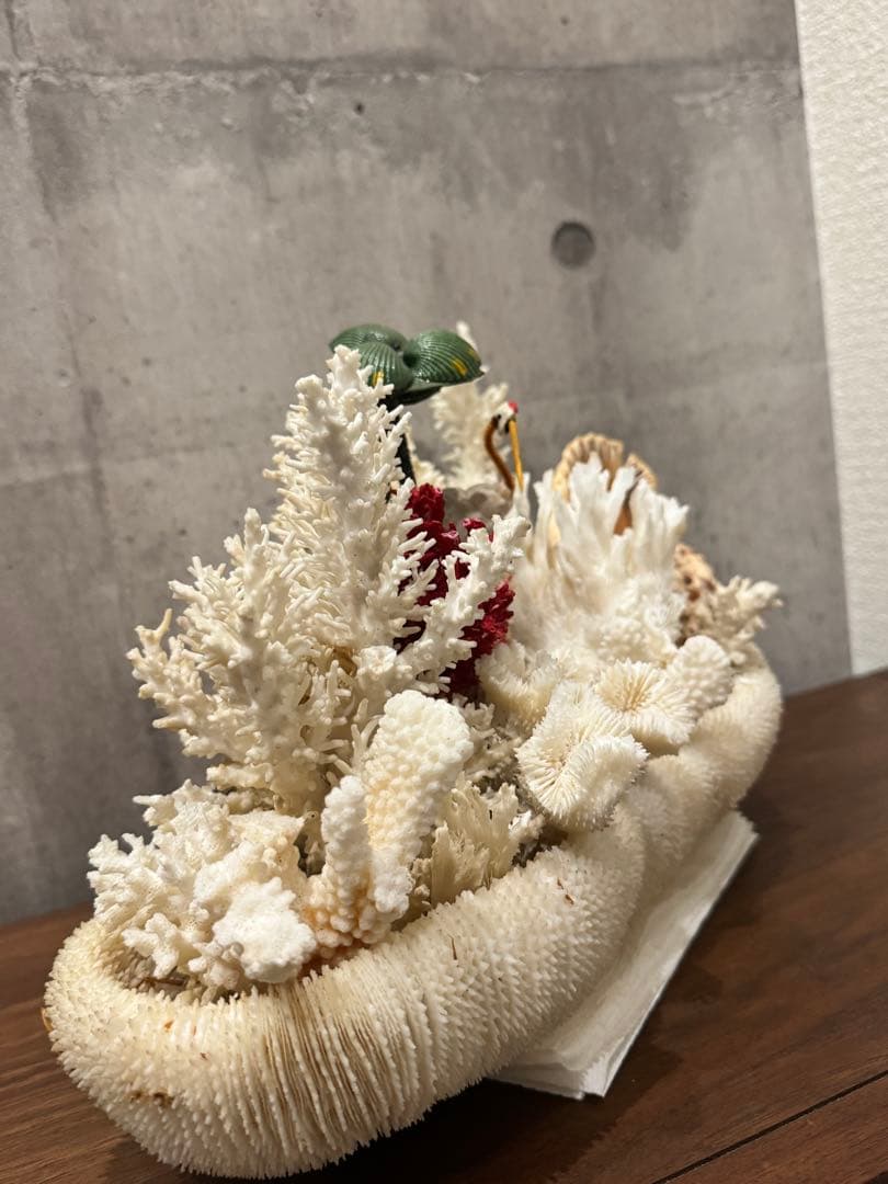 白珊瑚天然　オブジェ　アクアリウム　インテリア　デコレーション サンゴ