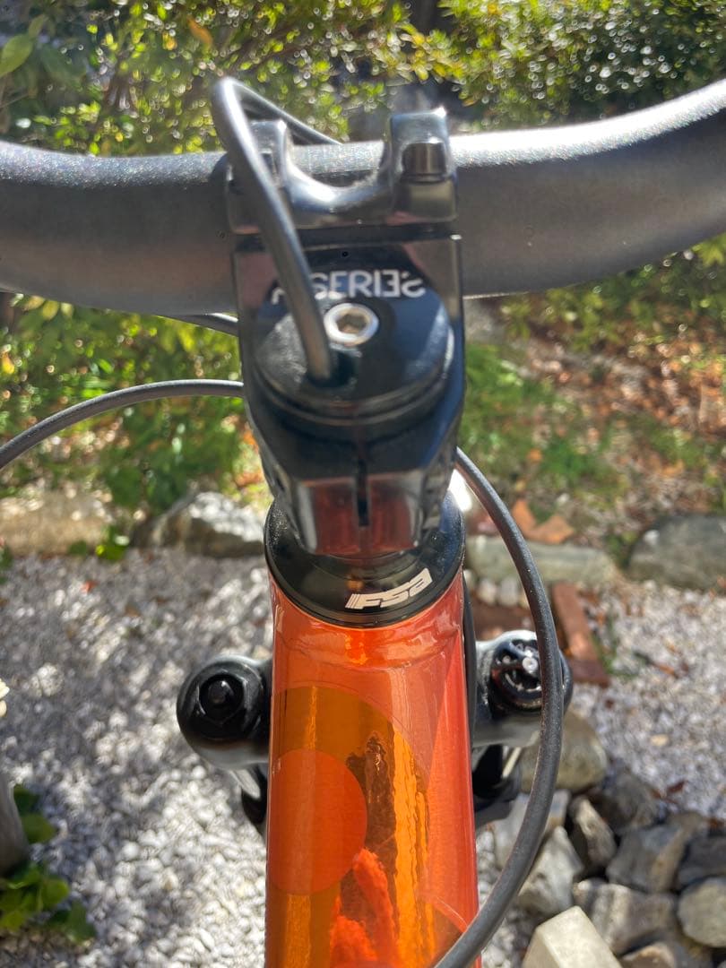 リー　送料無料 Specialized p.3 pro ダートジャンプ