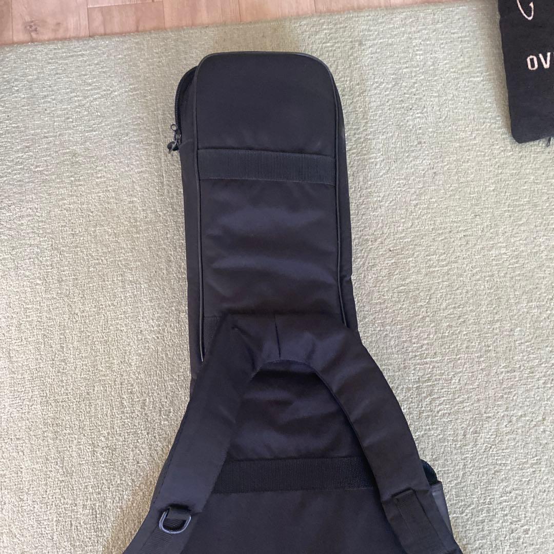 PRS Tremonti Standard SE Mark レスポール型ギター