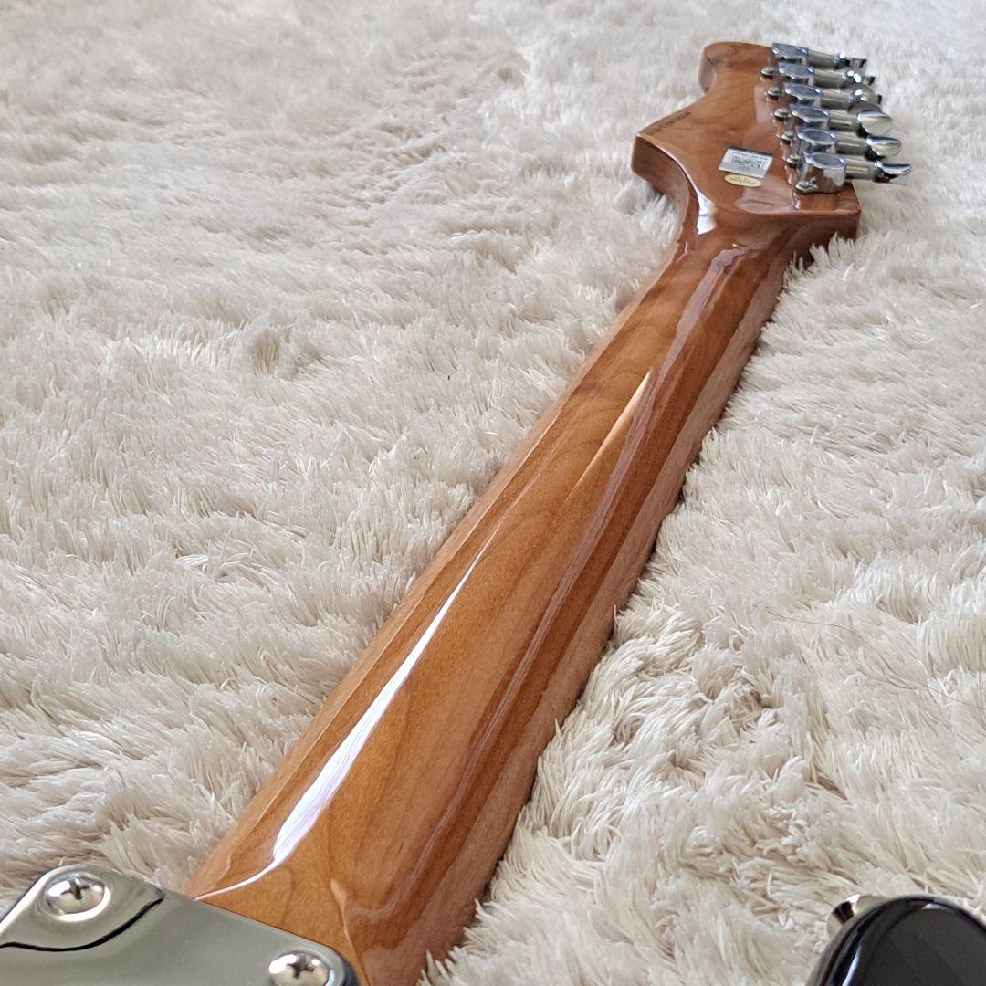 高品質アルダー材とローステッドメイプルネックを採用した、プロ仕様のスマートギター