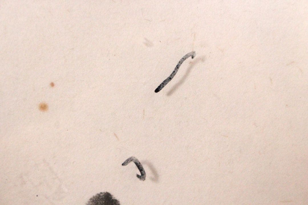 No4736 扁額装　大相撲　横綱　若乃花　曙　貴乃花　貴ノ浪　手形送料無料