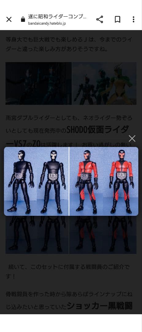 SHODO 仮面ライダー VS 仮面ライダー シン & J 本郷猛 掌動-XX