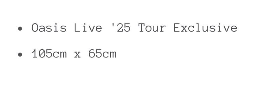 Oasis Live '25 Tour タペストリー 公式official品