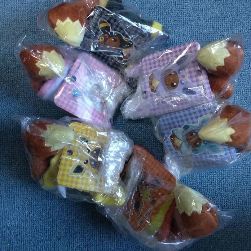 イーブイ✨　ポンチョシリーズ　マスコット　ポケモンセンター限定！
