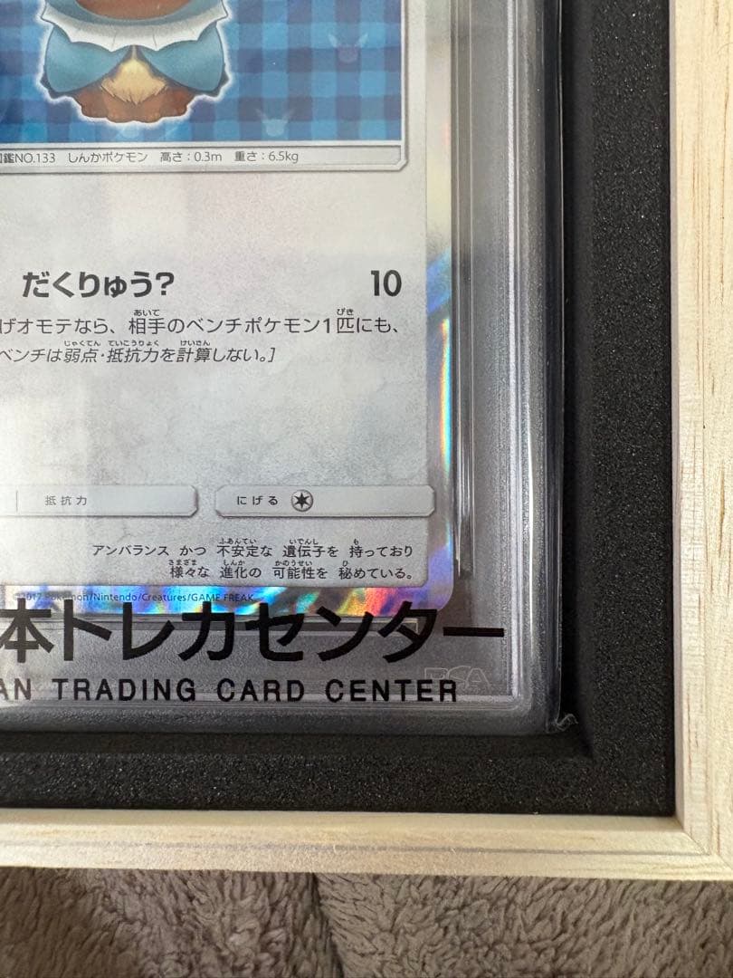 ポンチョを着たイーブイ PSA10 #137