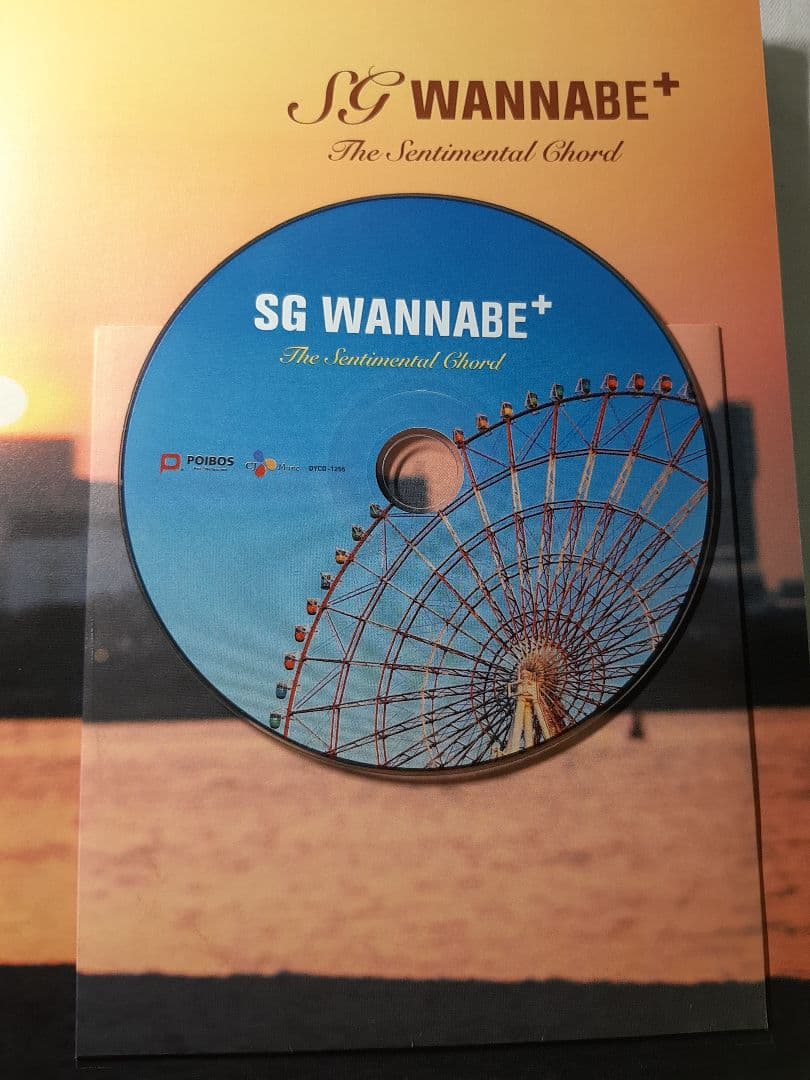 【CD+DVD】SG WANNA BE+ 9点 セット まとめ
