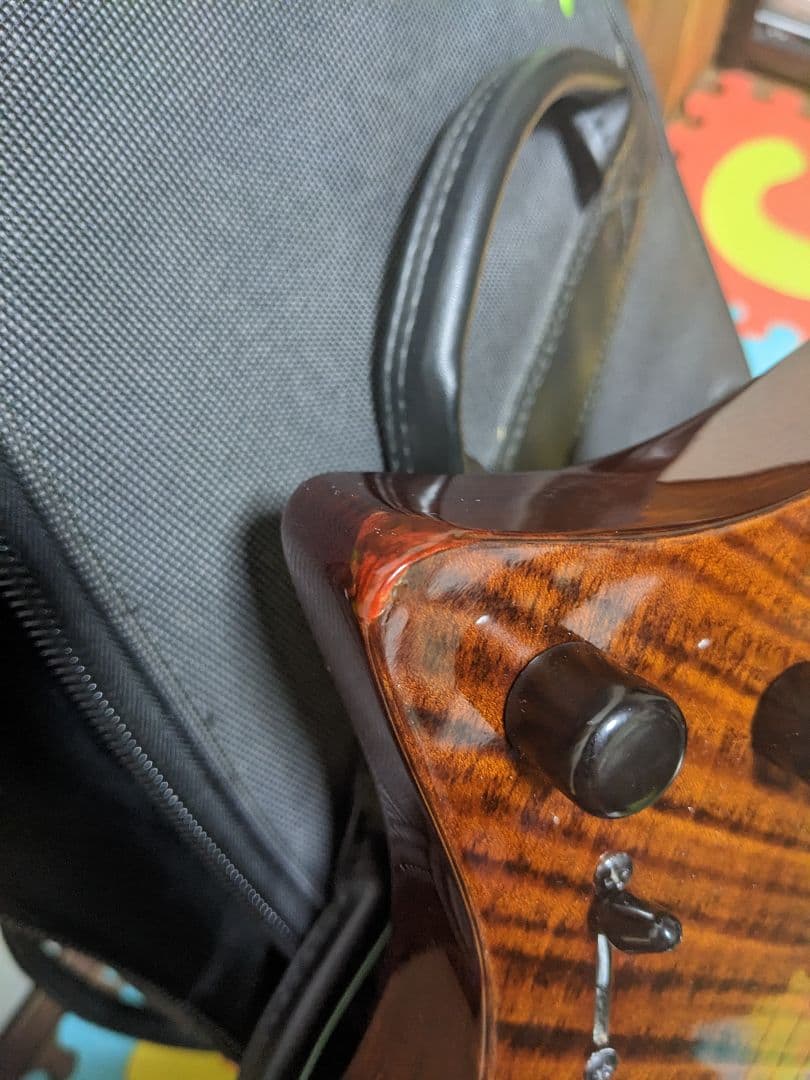 Strandberg OS 6 トレモロ gloss