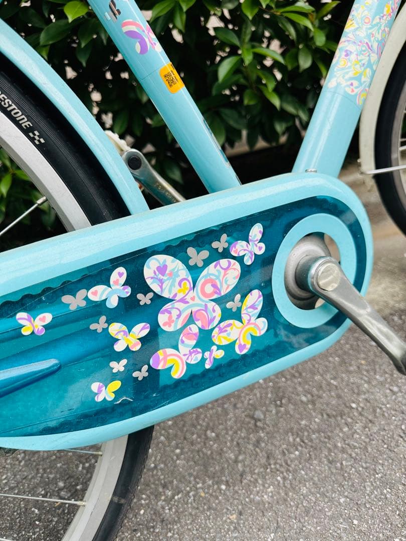 文京区引き取り限定です⭐︎ 水色 ブリヂストン ECOPAL グリーン 24インチ