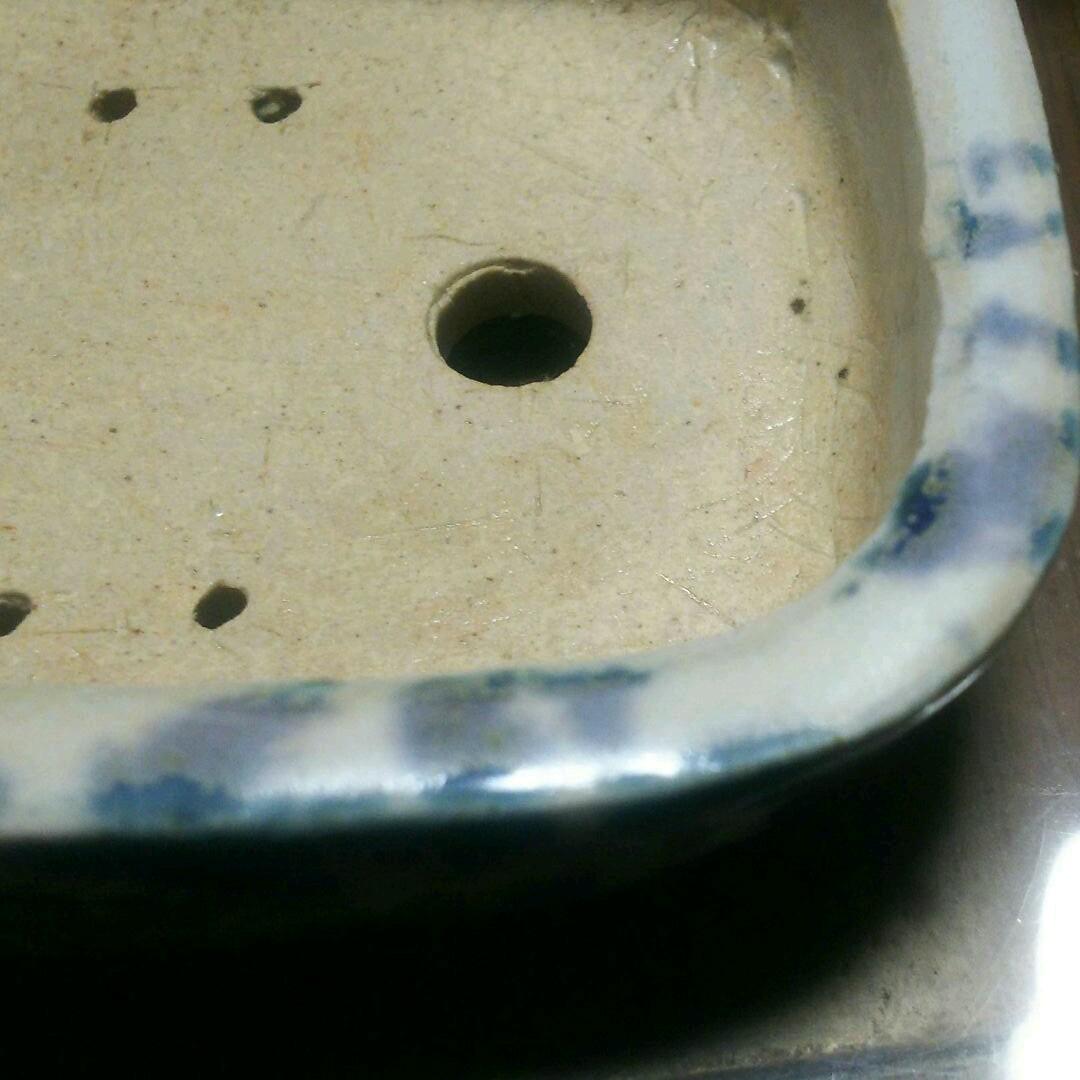 龍正   鉢