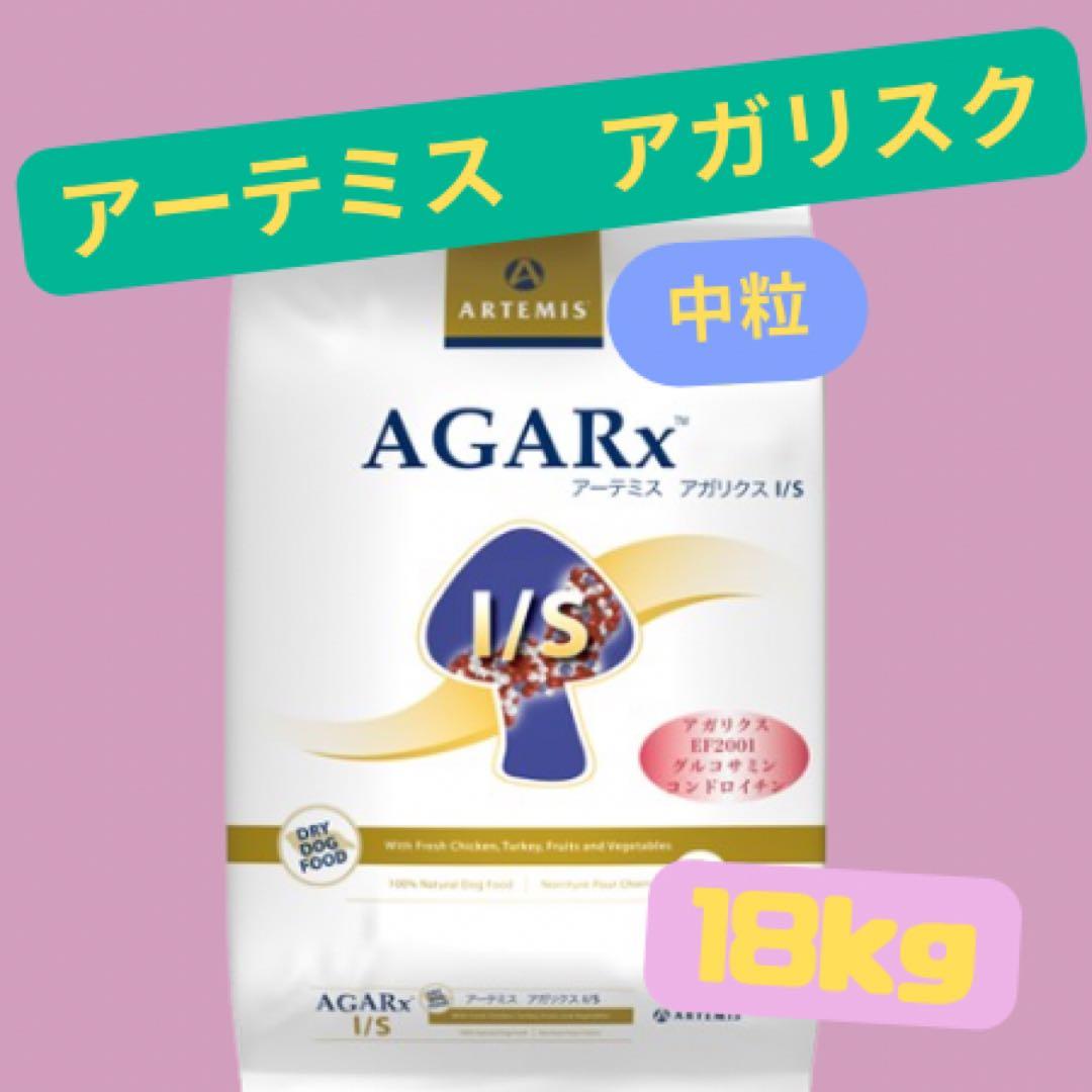 ここちゃん