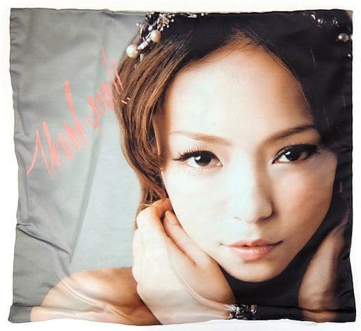 【即購入ok!!】安室奈美恵 ドームツアー 2012 クッション2種セット