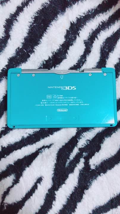 その他 3DS