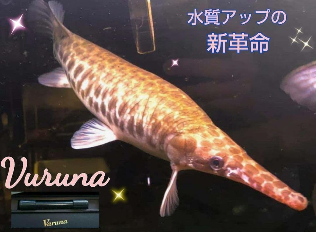 水質アップにはコレです！【ヴァルナ】有害物質を強力抑制し透明度が抜群になります！
