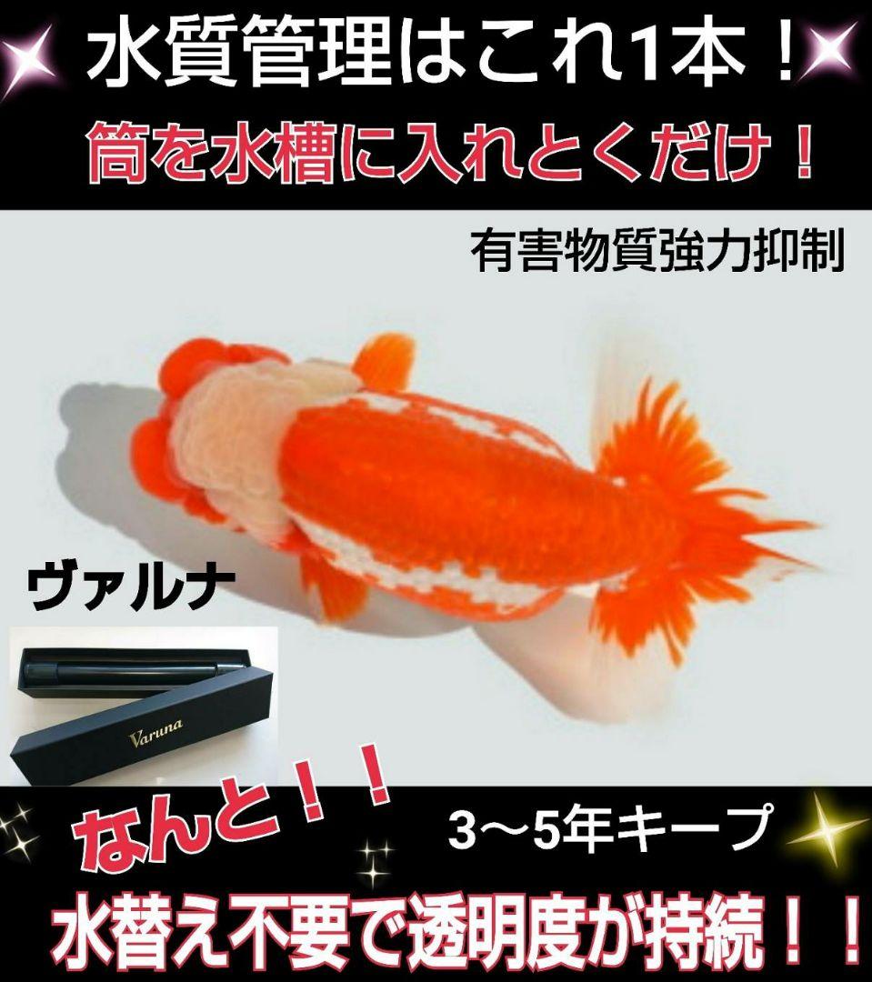 水質アップにはコレです！【ヴァルナ】有害物質を強力抑制し透明度が抜群になります！
