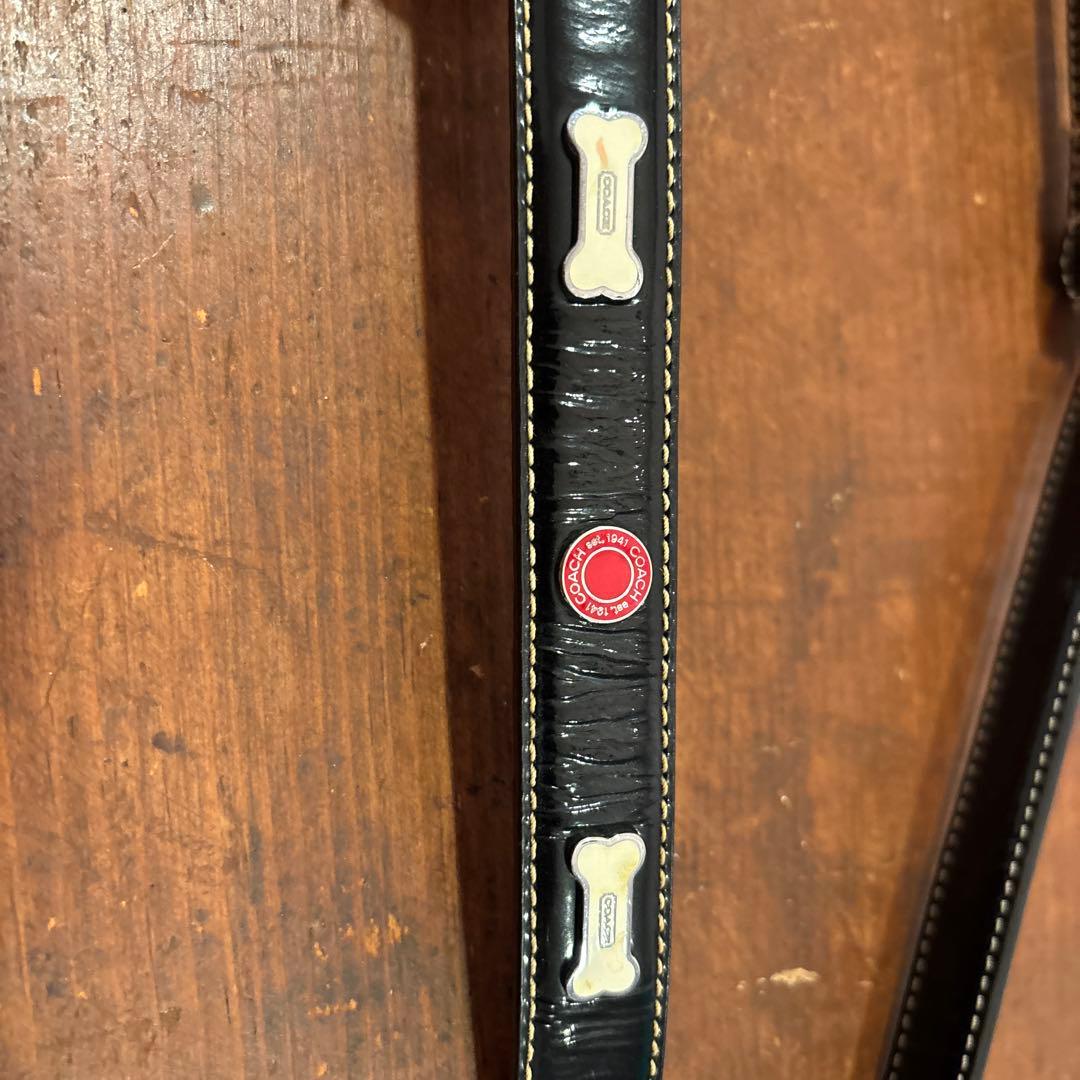 COACHレザー 犬用リードと首輪セット