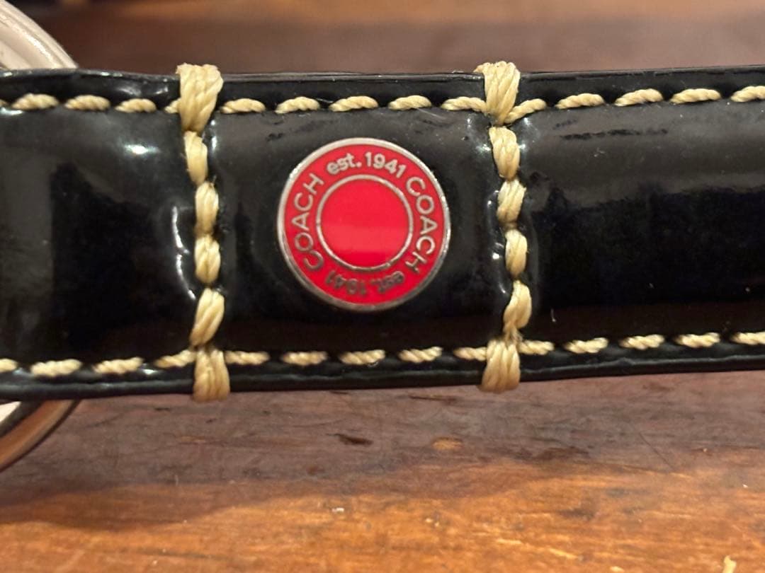COACHレザー 犬用リードと首輪セット