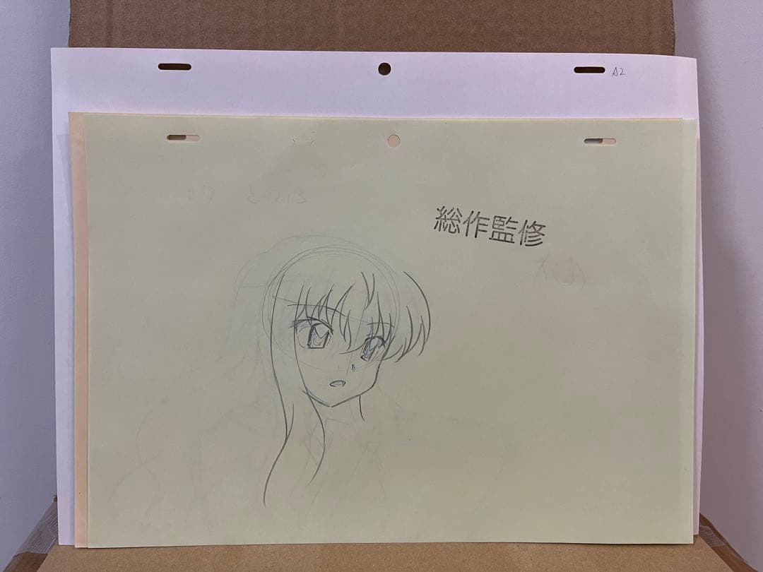 ゼロの使い魔 セル画 原画 動画 ルイズ1 釘宮理恵