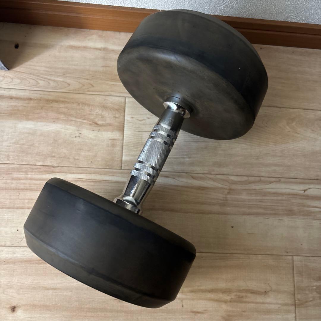 WILD 22kg ダンベル　状態良い　最安値2