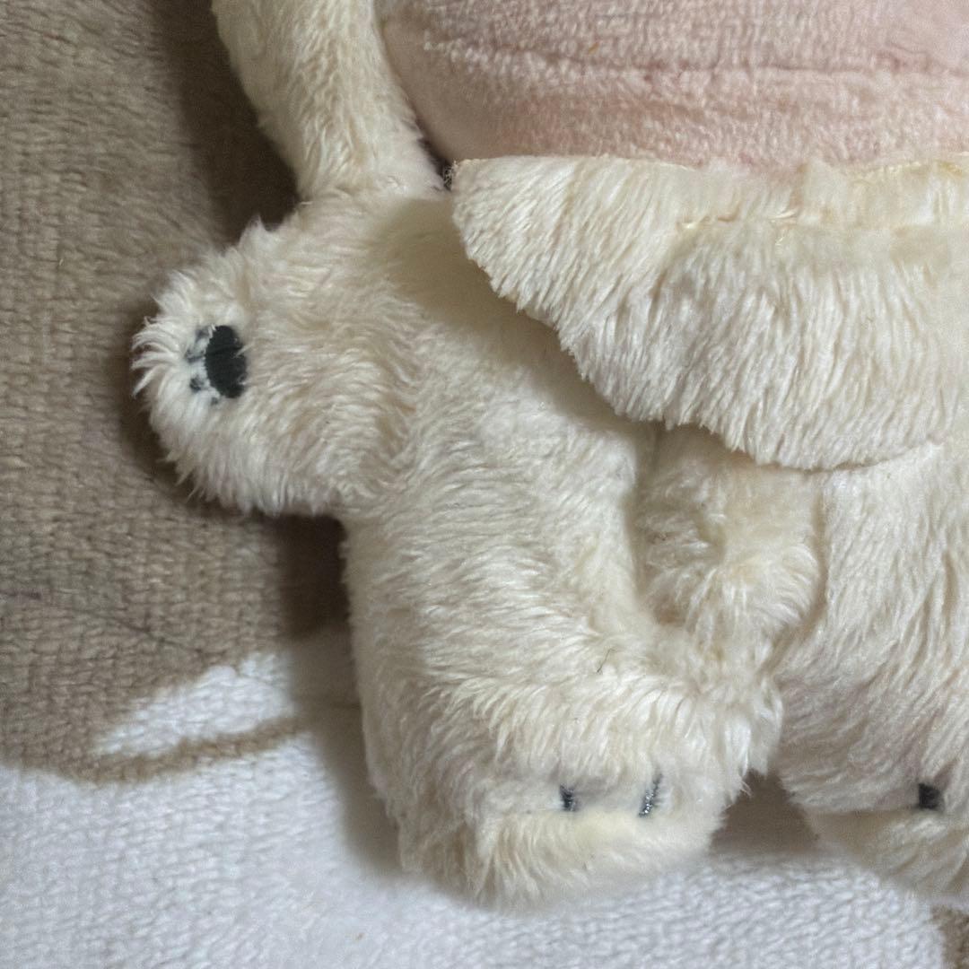 いお