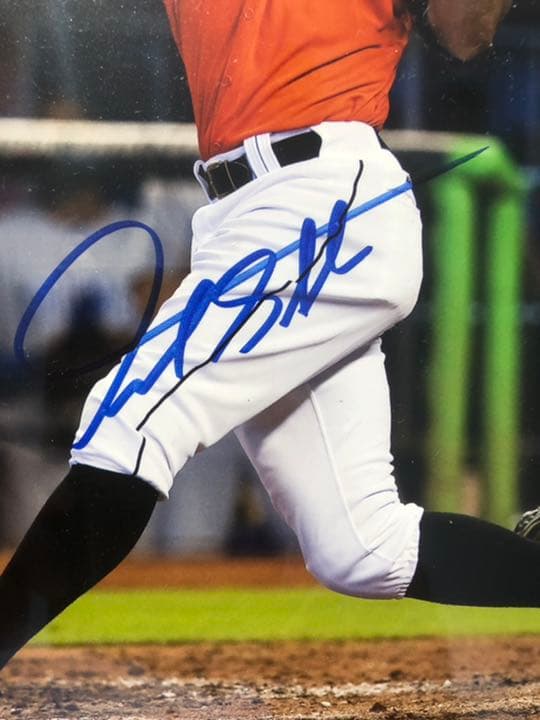 【1月SALE】ジャンカルロ・スタントン　MLB 直筆サインPhoto