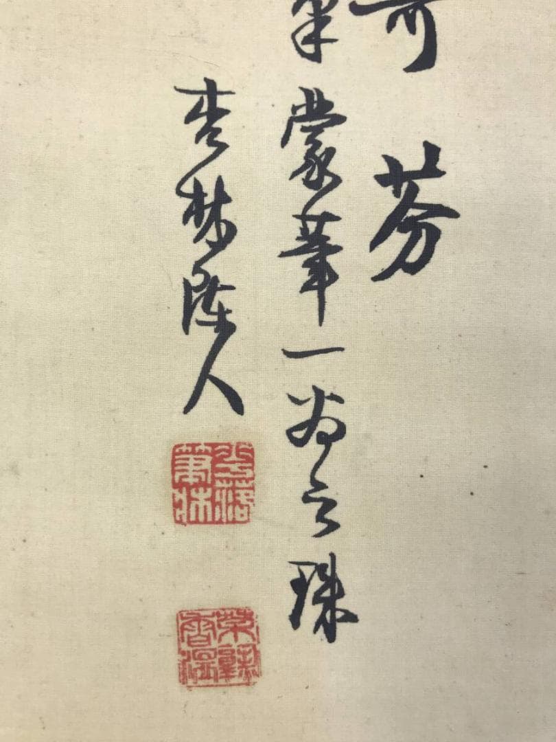 作者不詳/花鳥図/牡丹に蝶図/花図/掛軸☆宝船☆AH-658