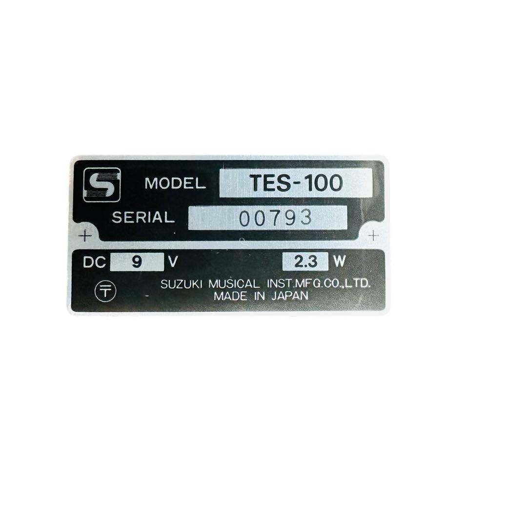 SUZUKI 大正琴　和楽　シンセサイザー　TES-100 ハードケース付き