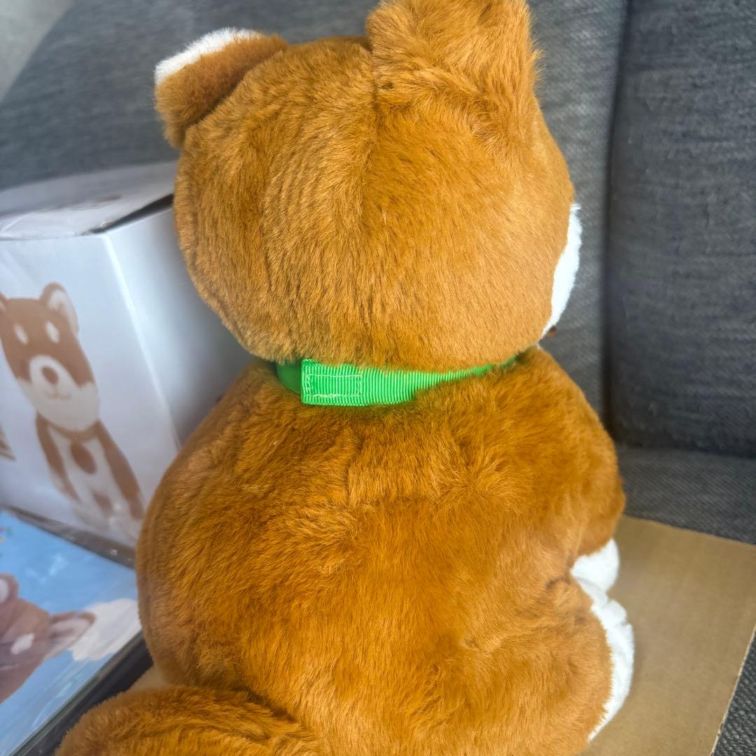 しばいぬコウタ　バンダナ無し