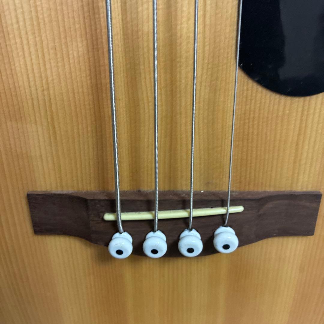 Fender エレアコベース CB-60SCE RITTER　RGP-5-AB