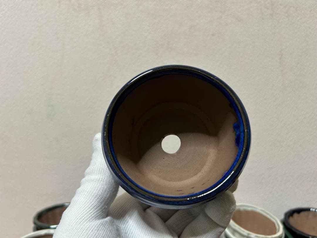 こけむすび